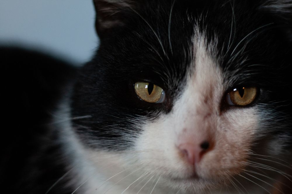 Photograph by Диана