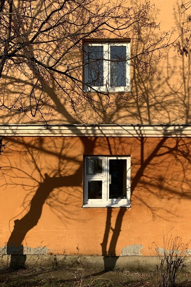 Photograph by Ирина Тимонина