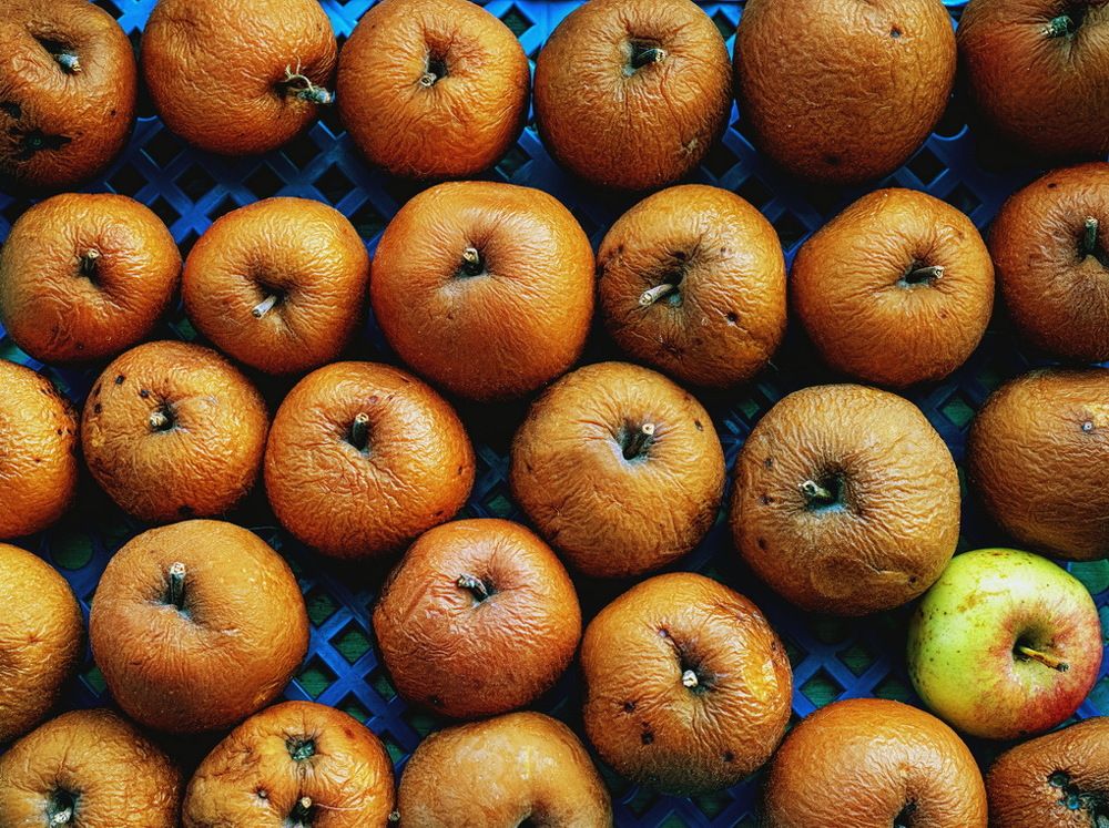 Свой среди своих