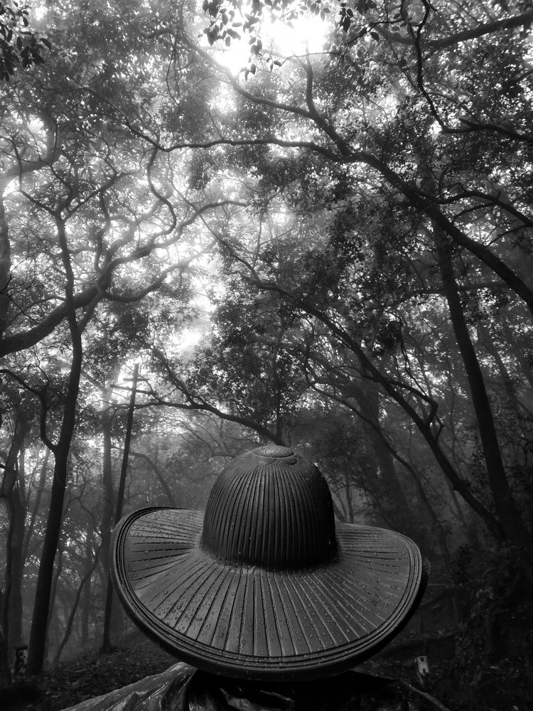 Rain and Forest. Matheran Hill Station,Maharashtra.