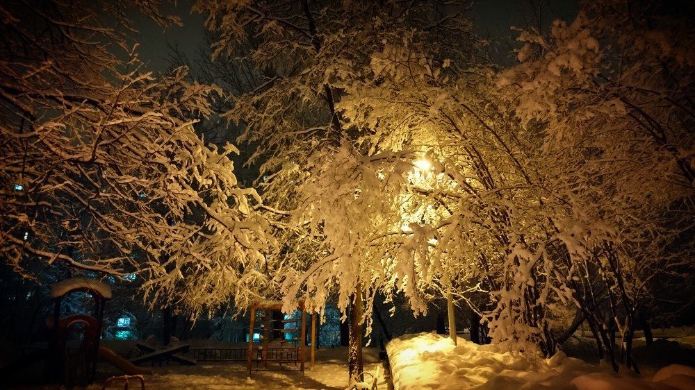 Photograph by Елецкая Лариса