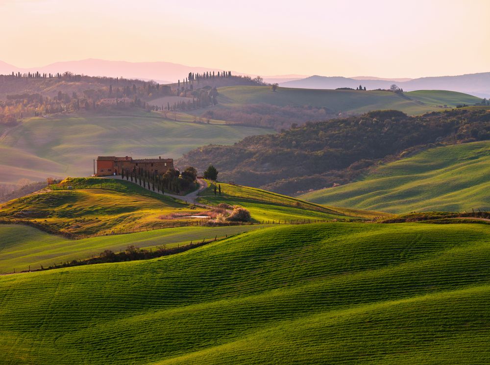 Photograph by Alaa Seif Eddine