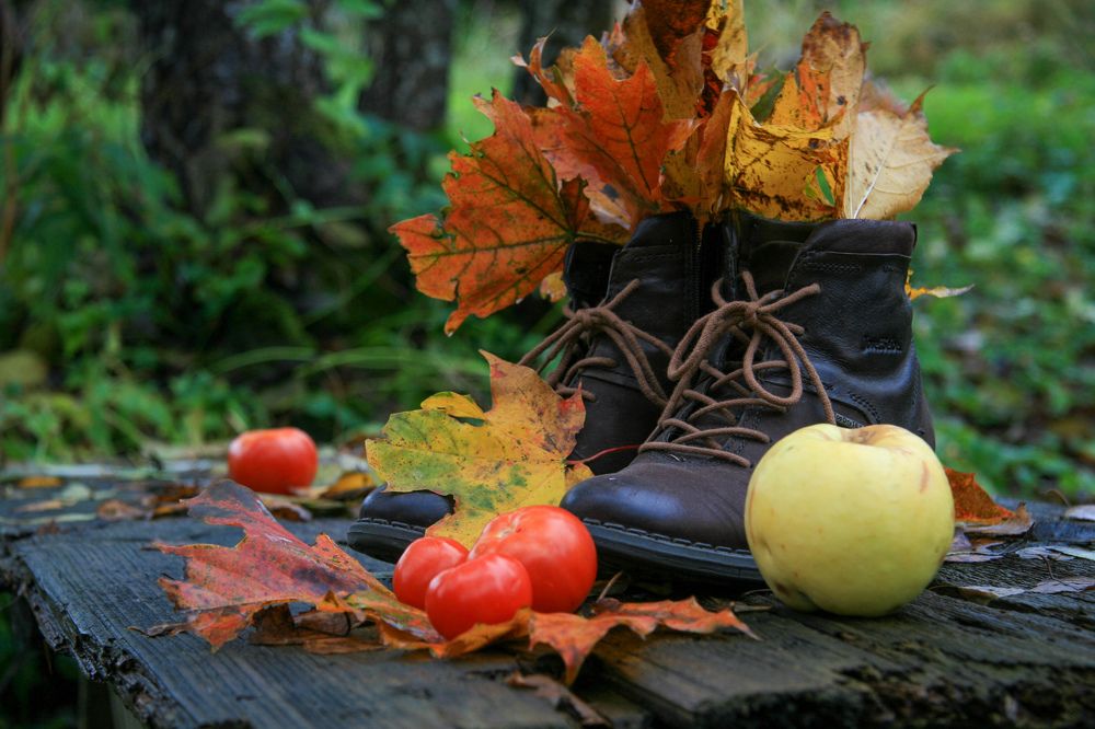 Photograph by Диана