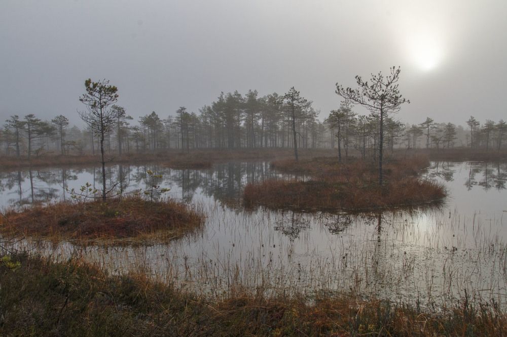 Photograph by Родион