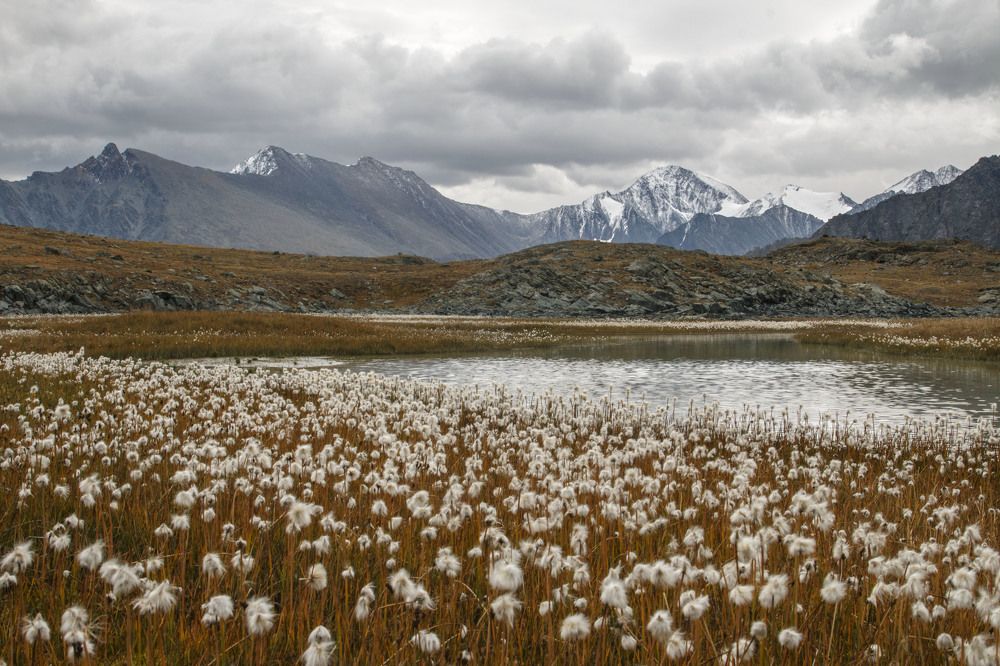 Photograph by Родион