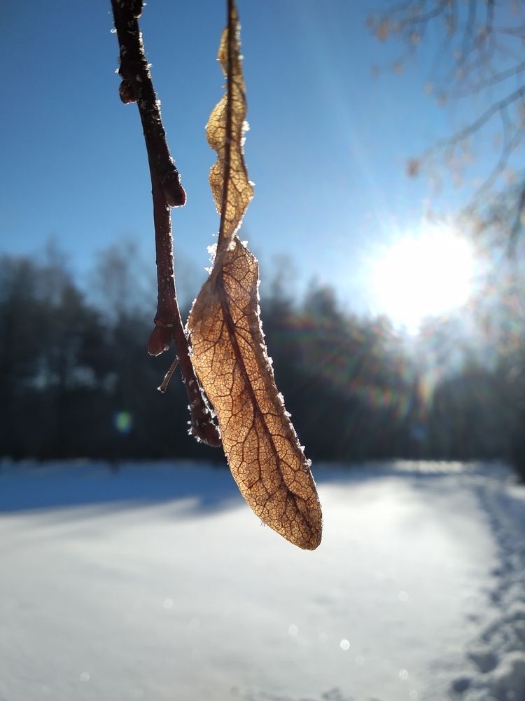 Photograph by Вера Демиденко