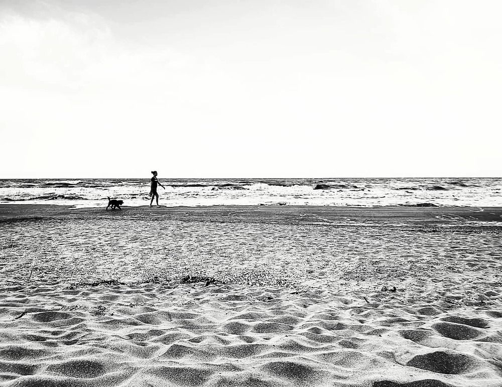 Photograph by Екатерина Маградзе