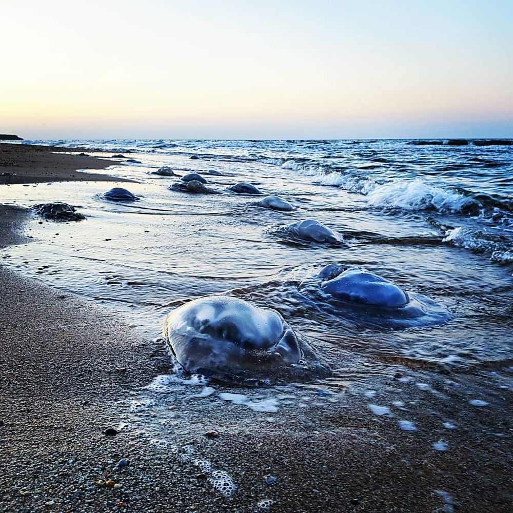 Photograph by Екатерина Маградзе