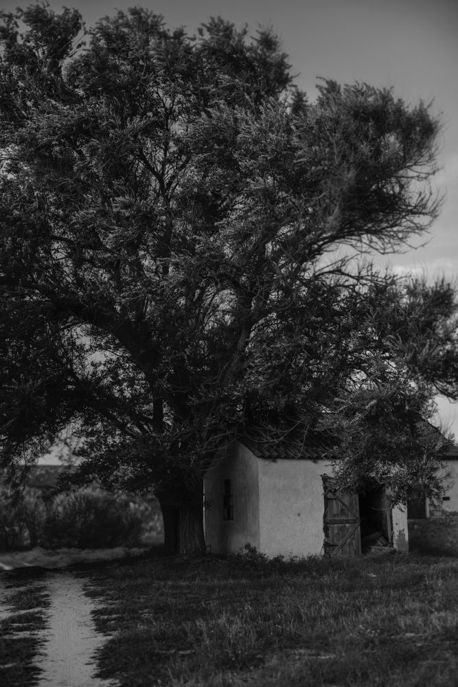 Хижина на берегу моря