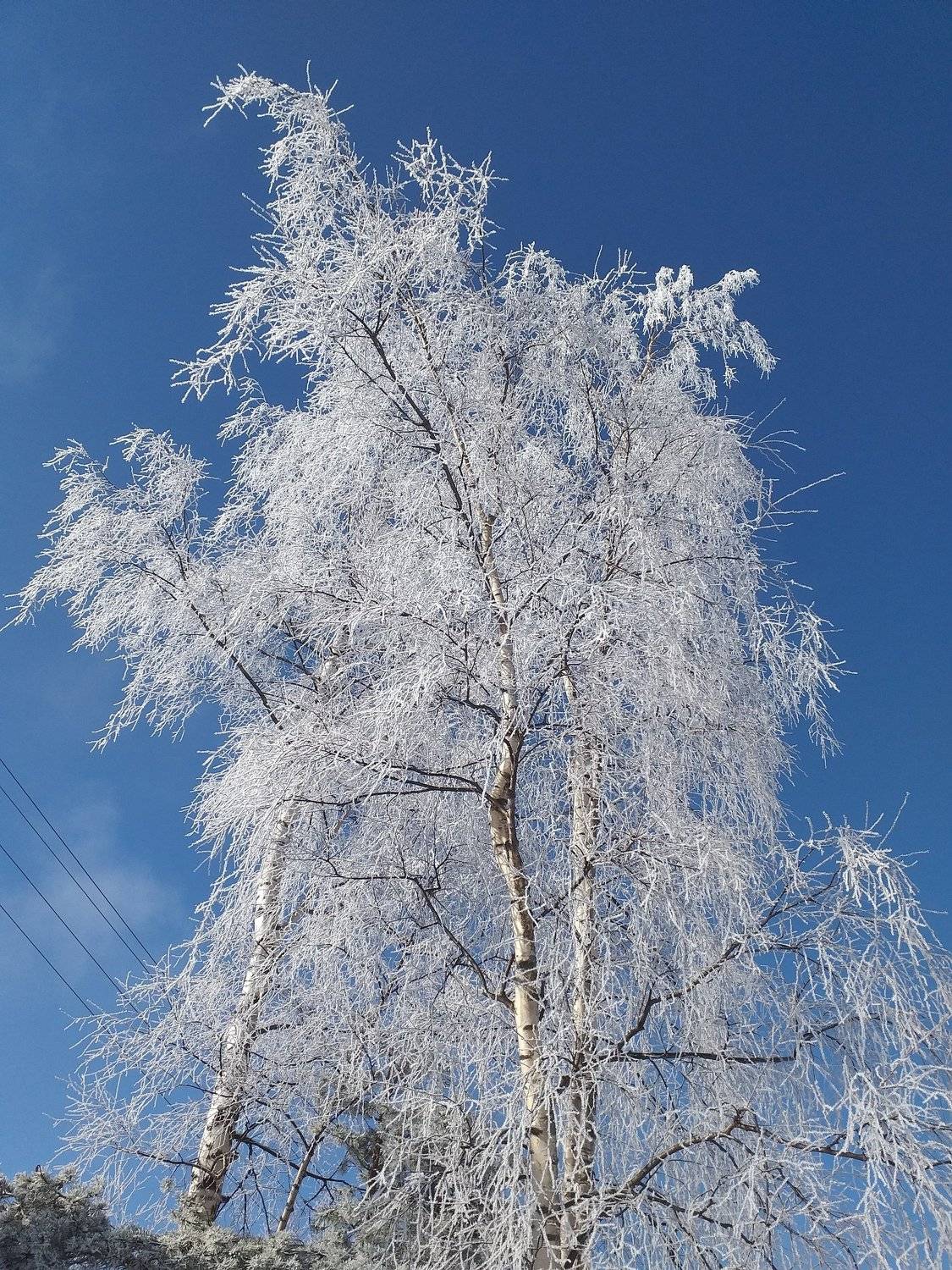 Photo #5813778