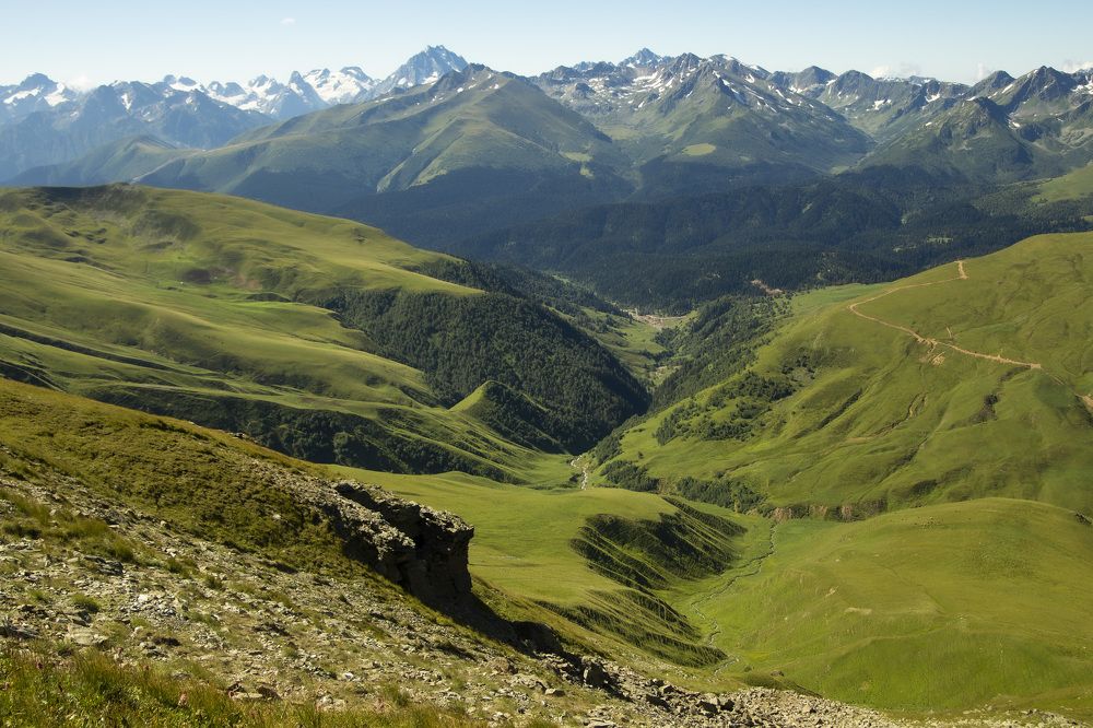 Photograph by Елена Солина