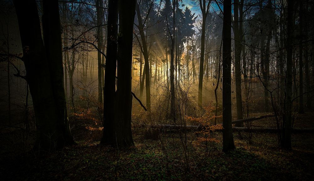 Photograph by Preeti Verma