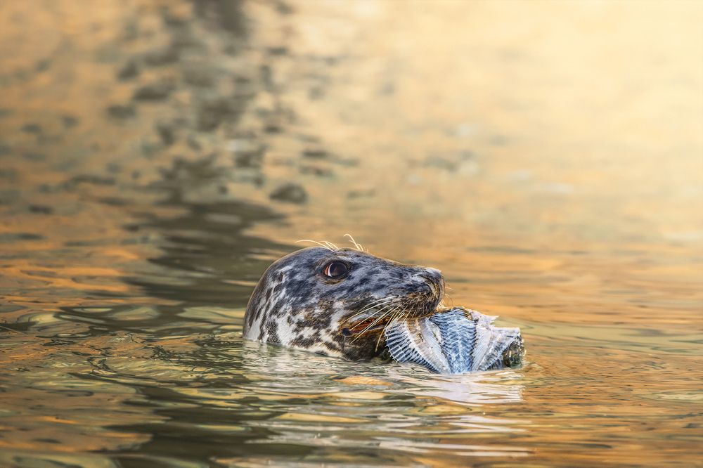 Photograph by Vitaliy Tuzov