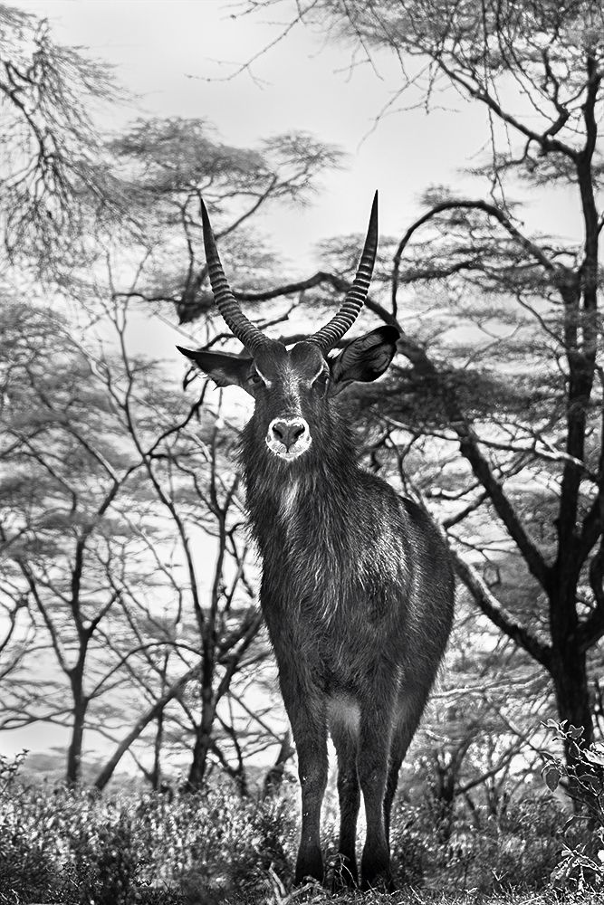 Photograph by Mehlam Akbarali