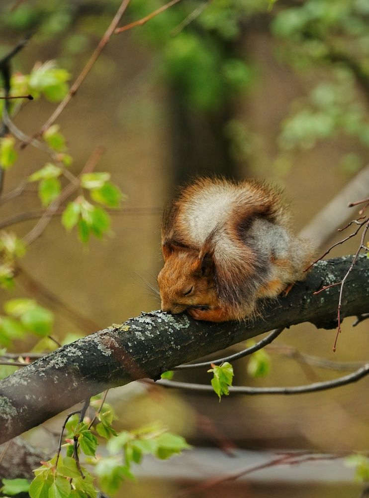 Photograph by Александр