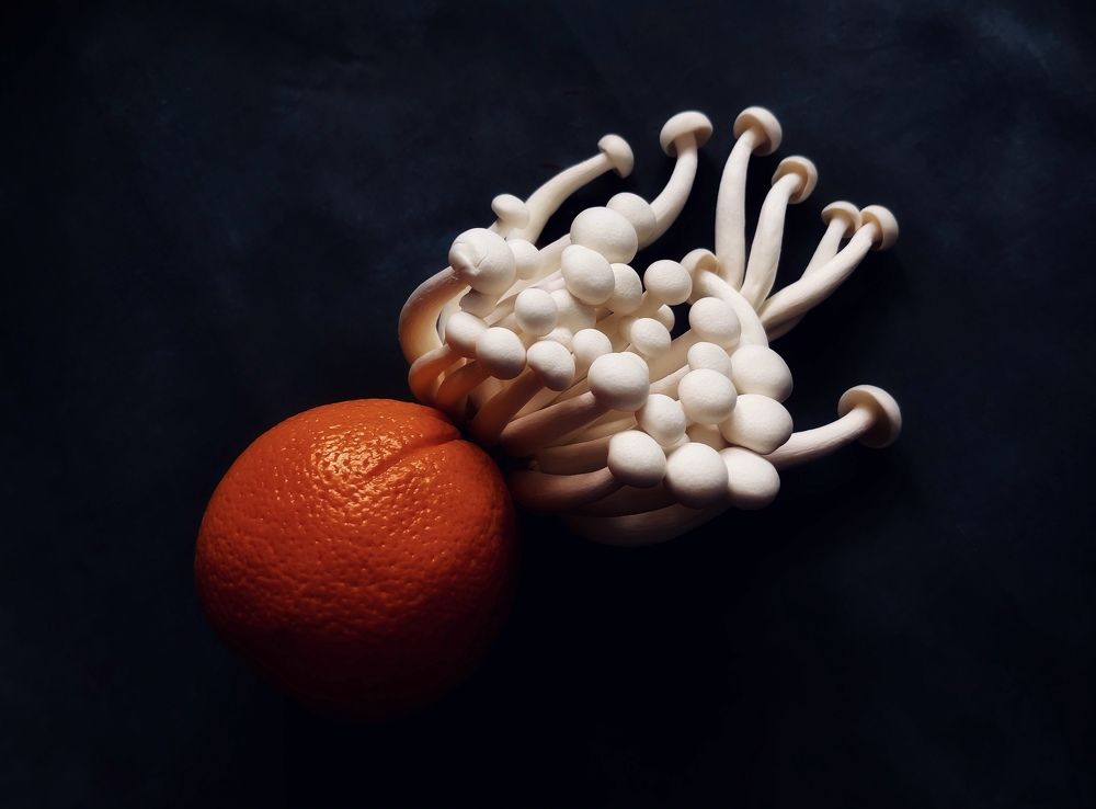 Photograph by Marius Surleac