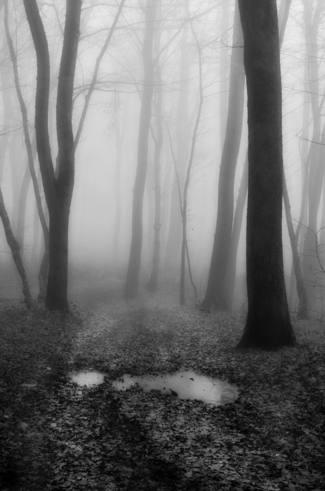 Photograph by  Владимир