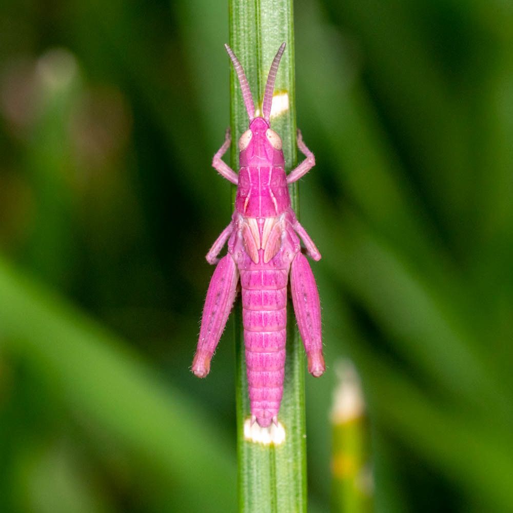 Photograph by Vitalijs Mironovs