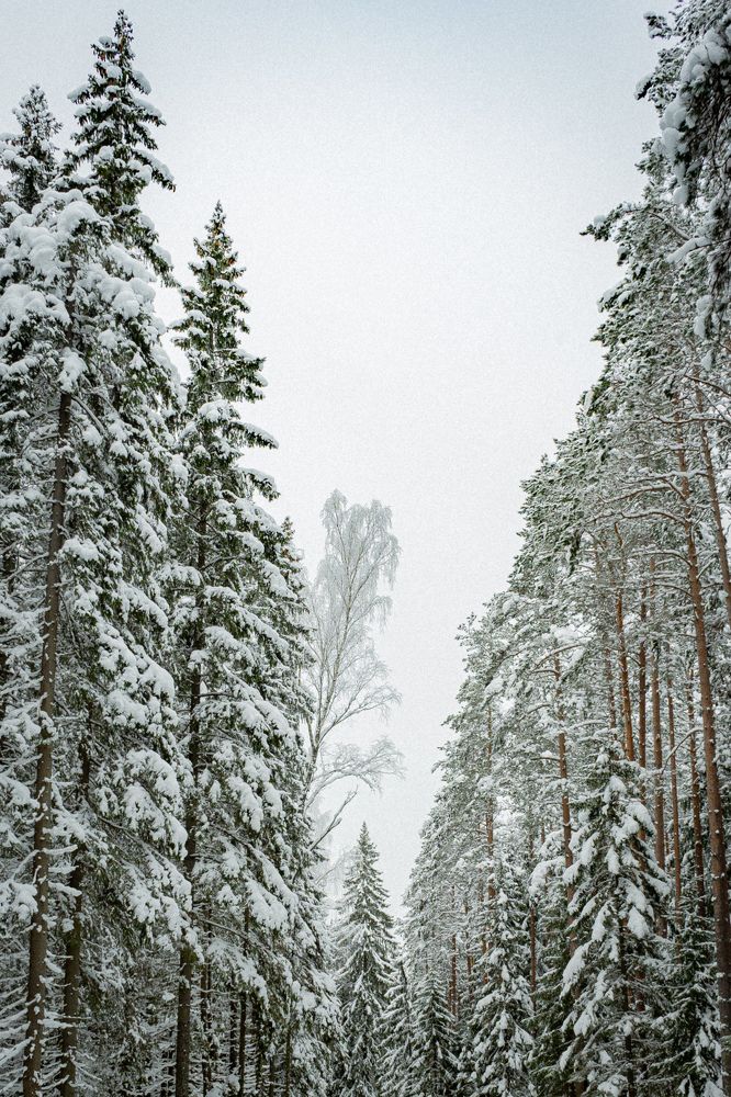 Photograph by Анна Щенникова