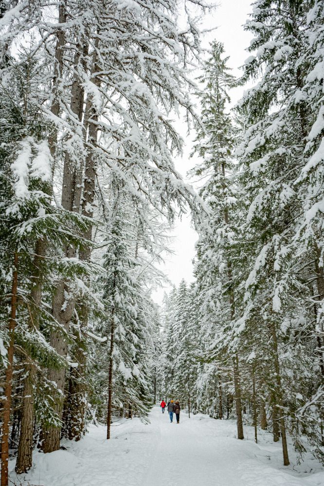 Photograph by Анна Щенникова