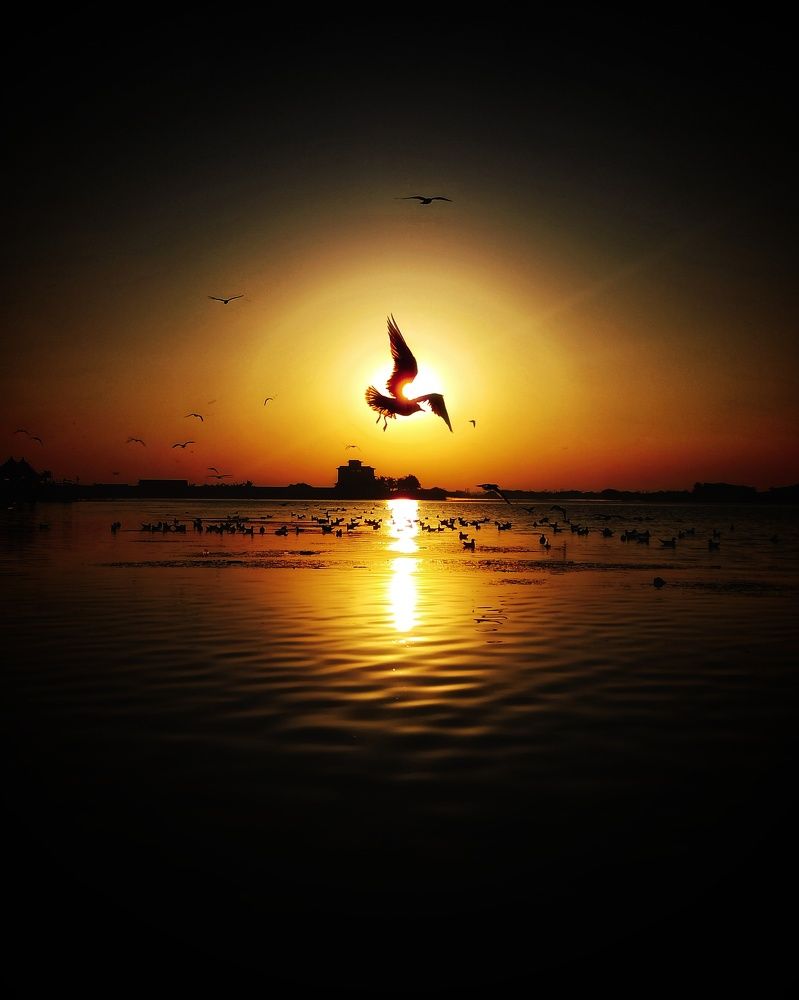 Photograph by Rishabh Solanki