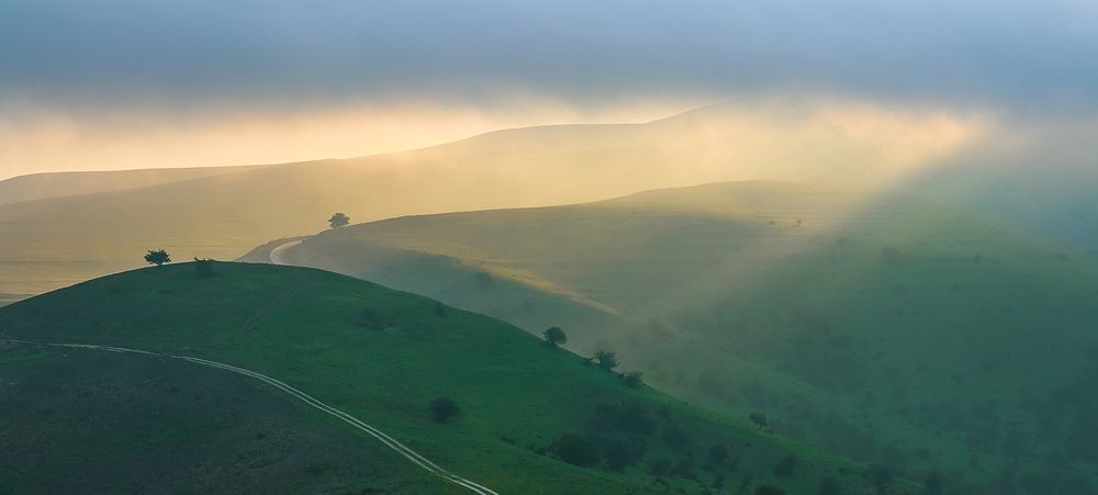 Photograph by Mohamad Foghani