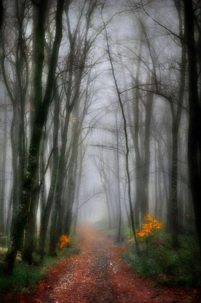 Photograph by  Владимир