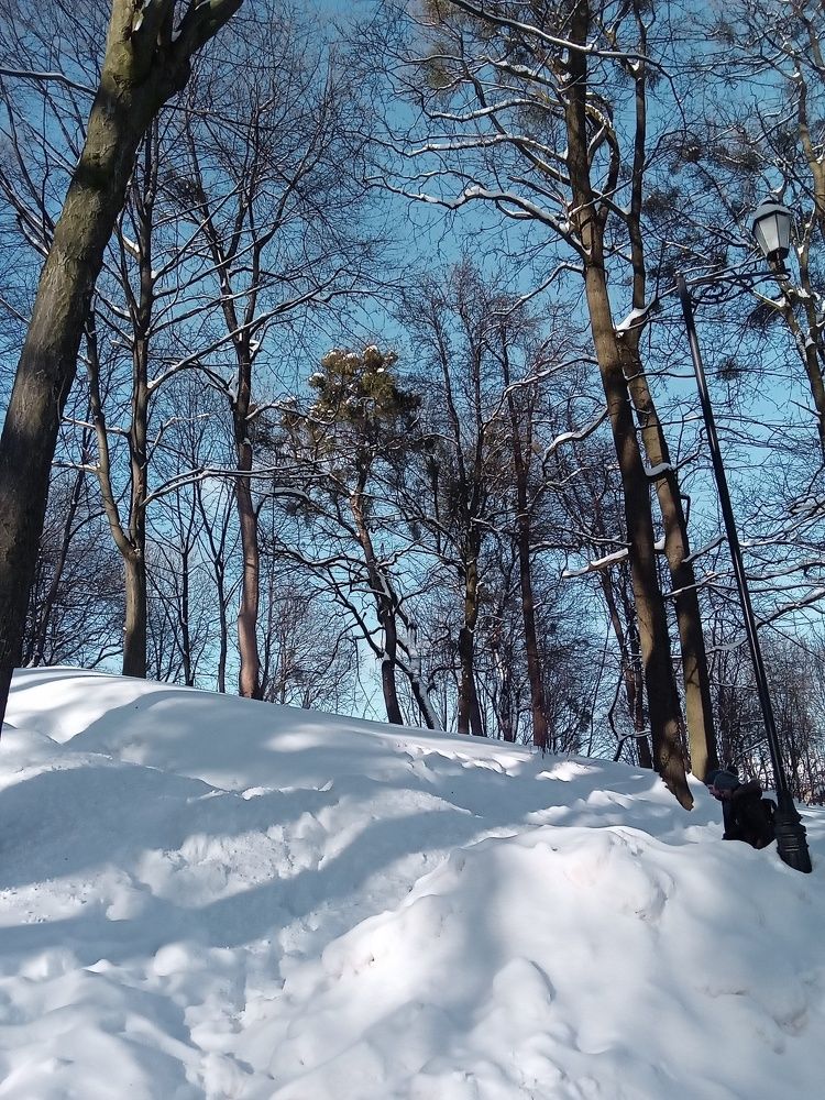 Photograph by Елена Шерман