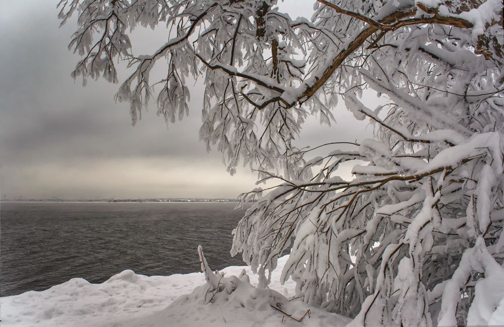 Январский день.