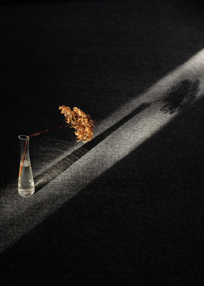 Photograph by Наталья Никитина