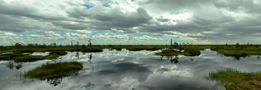 Belarusian swamps