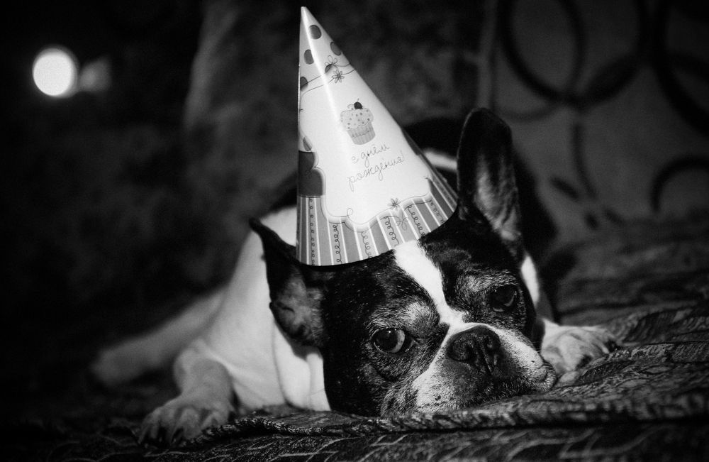 Photograph by Александр Шемятенков