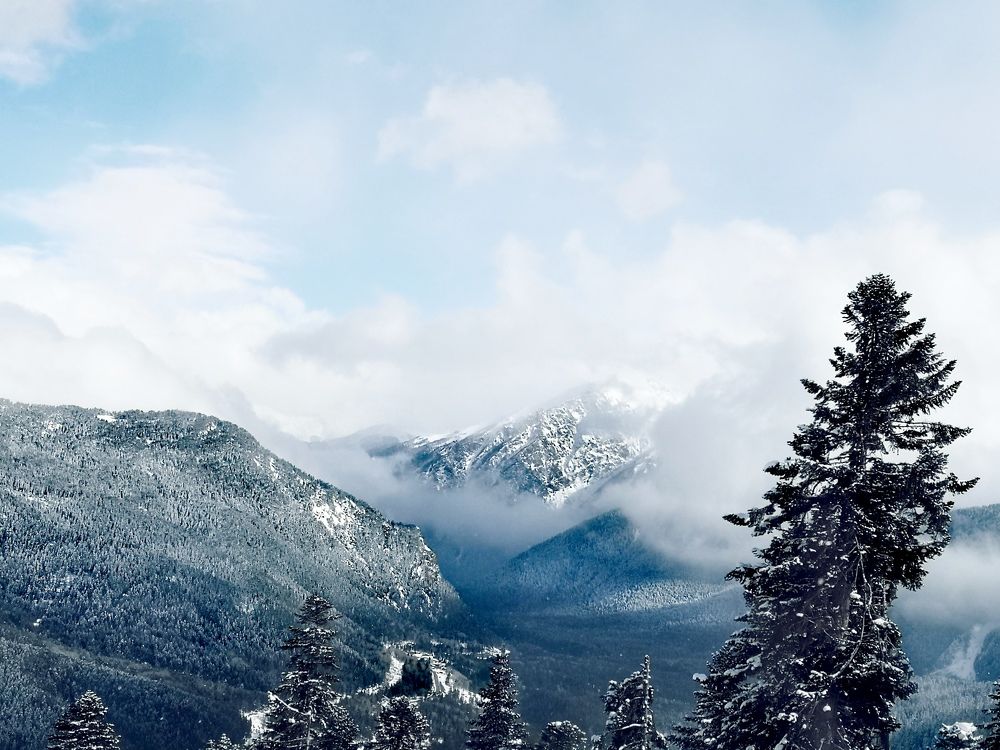 Photograph by Natali