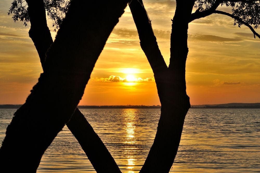 Photograph by Евгений