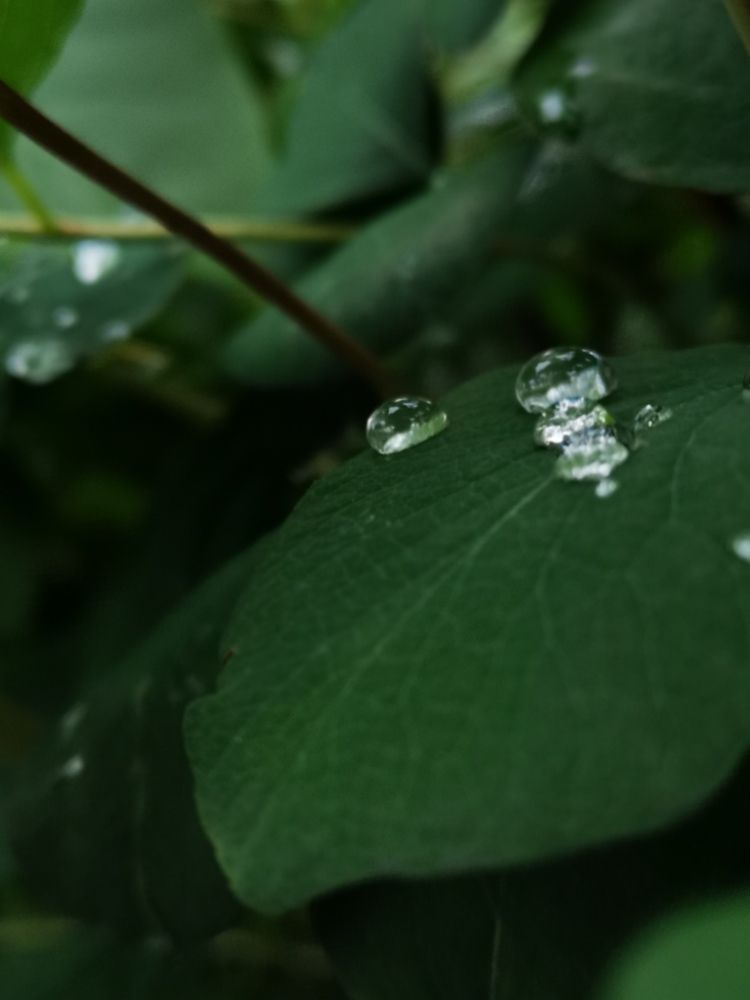 Photograph by Валентина Асотикова