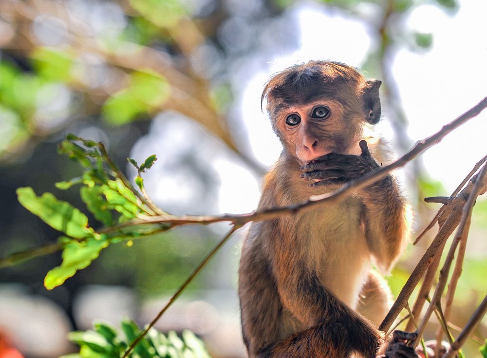 Photograph by Евгения Тимощенко