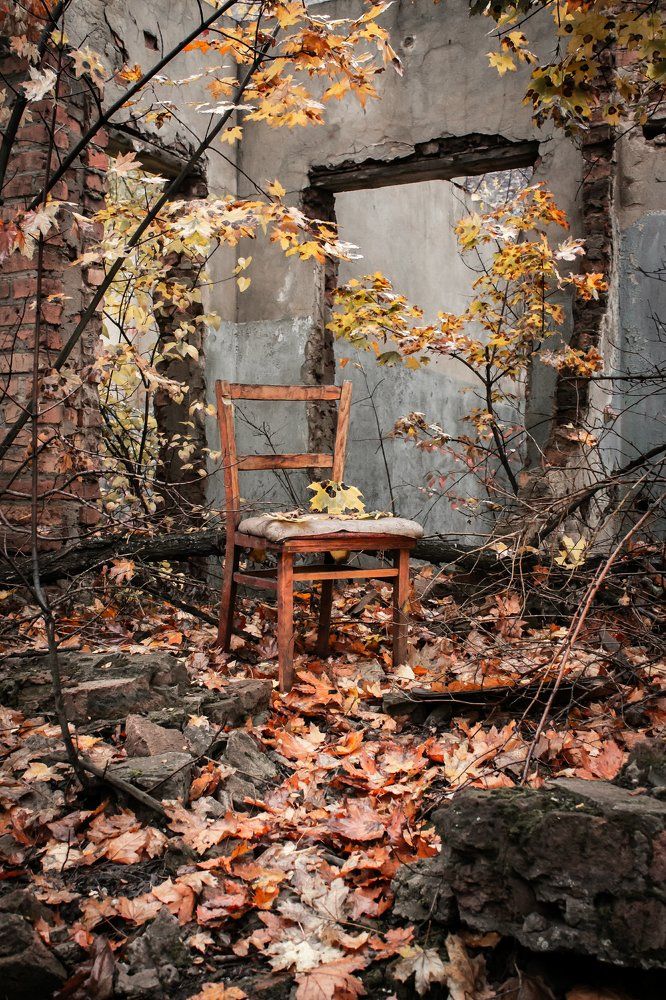 Жизненный цикл