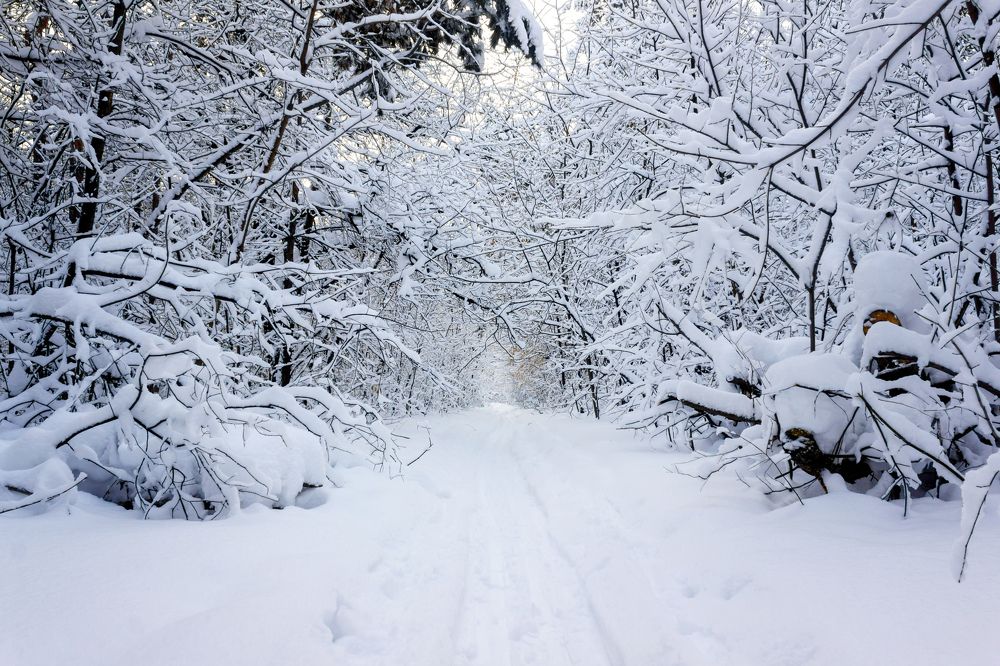 Photograph by Efremenko Nikita