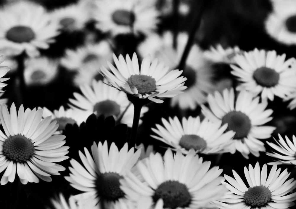 Photograph by Ana Bakic