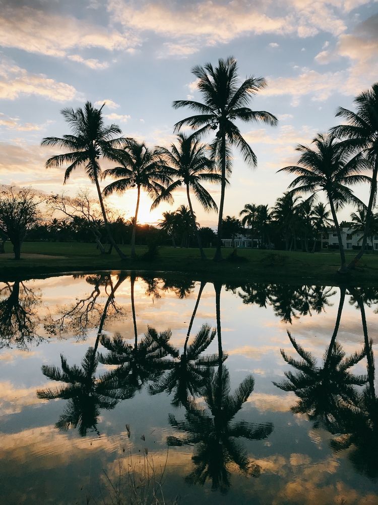 Photograph by Анна Куманцова