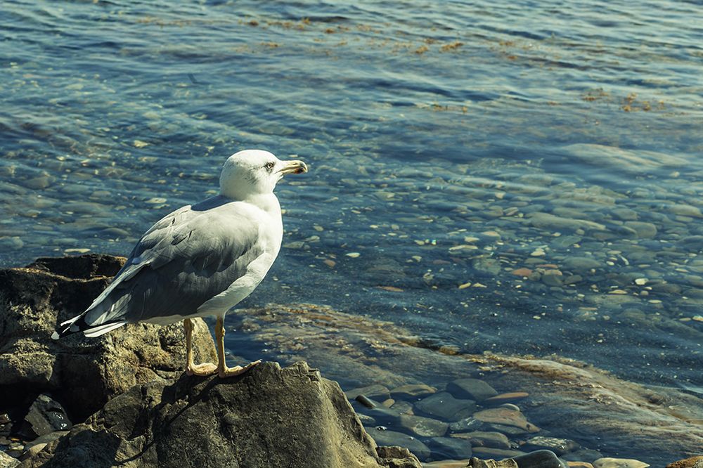 Photograph by Екатерина Сахно