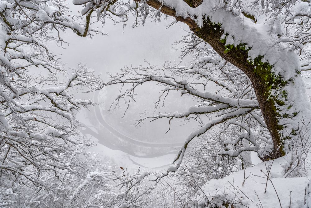 Photograph by Андрей Cоколов