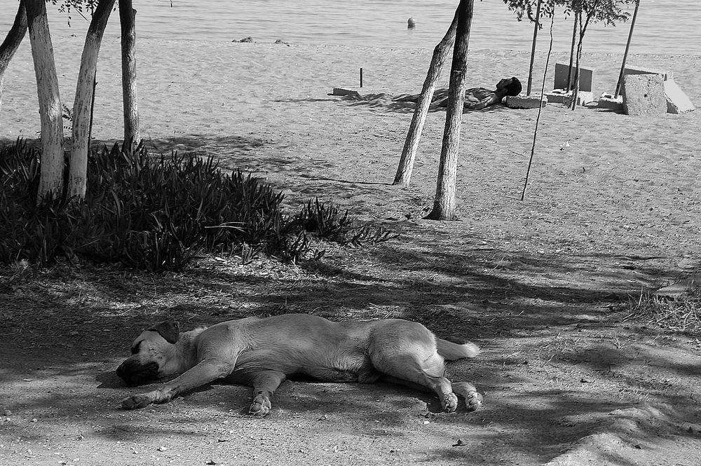 Photograph by Cengiz Sakarya