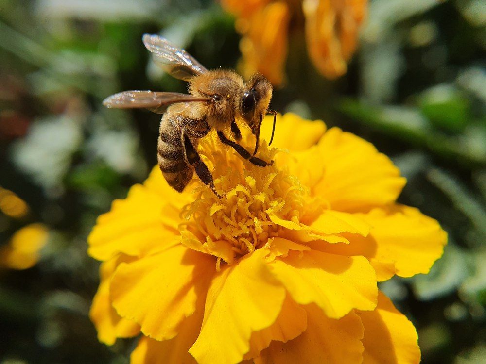 Photograph by Елена