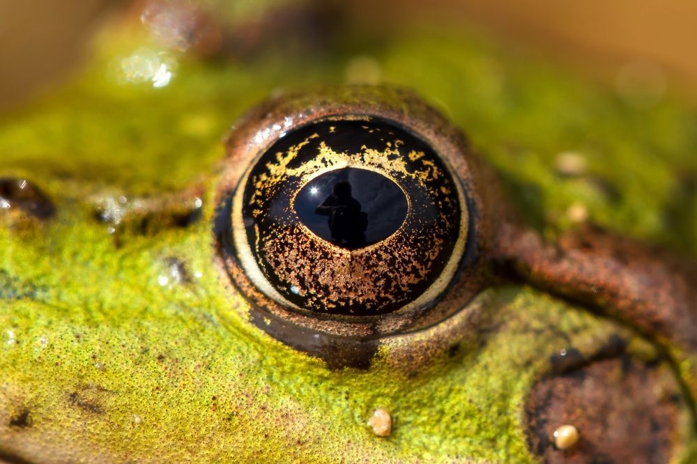 Photograph by Efremenko Nikita