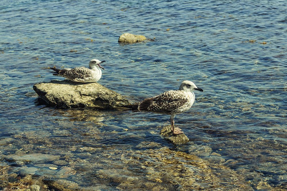 Photograph by Екатерина Сахно