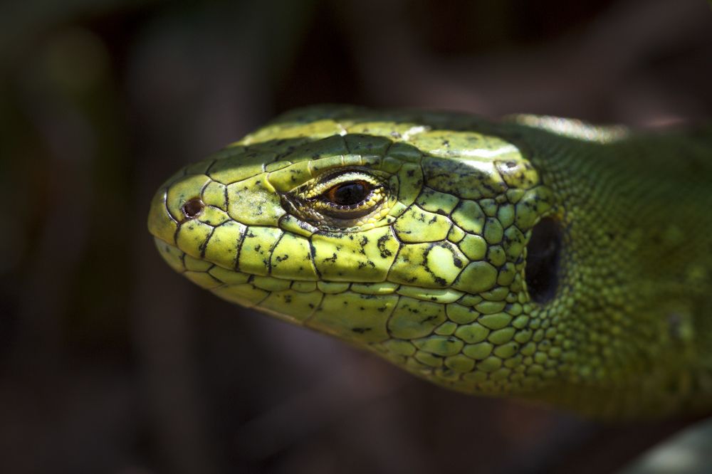 Photograph by Efremenko Nikita