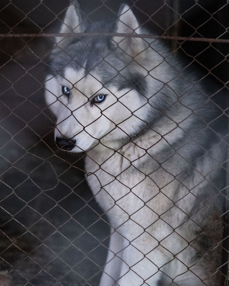 Спокойствие