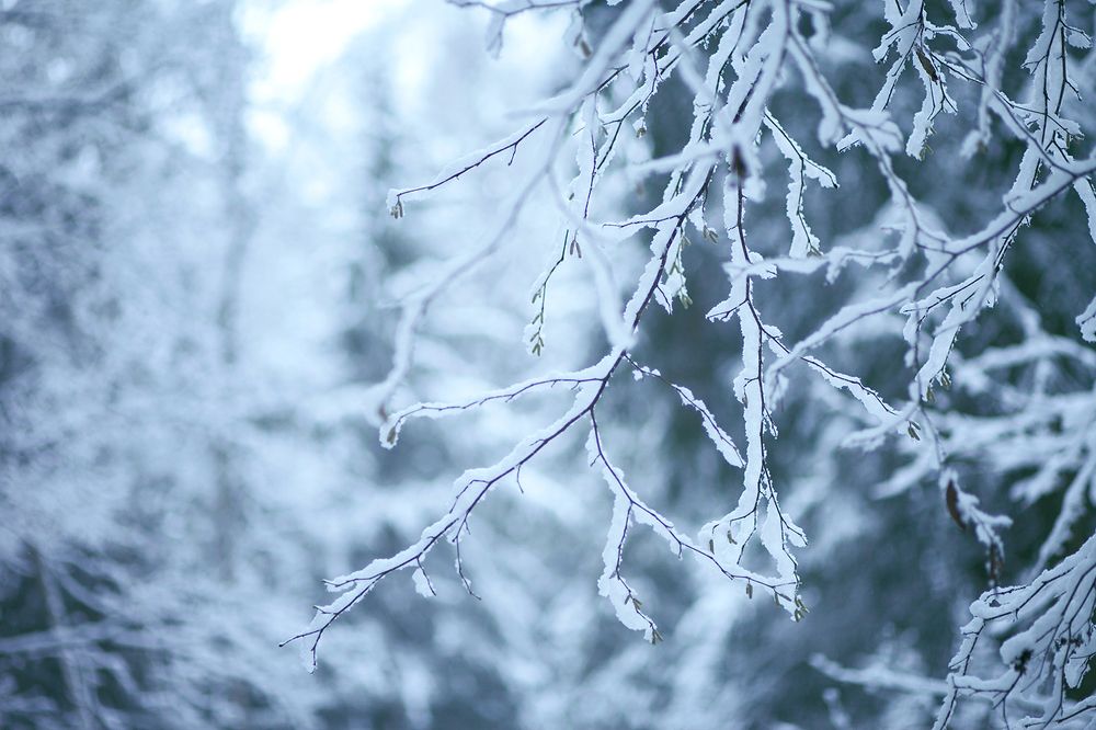 Photograph by Марина Киселева