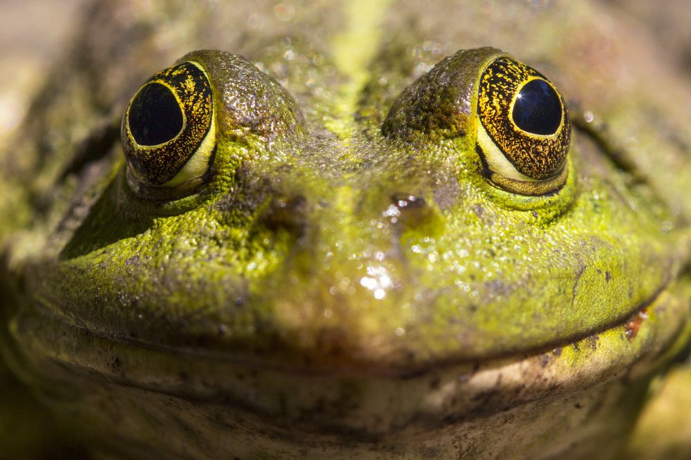 Photograph by Efremenko Nikita